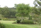 Bullumwaalresidential-landscaping-40.jpg; ?>